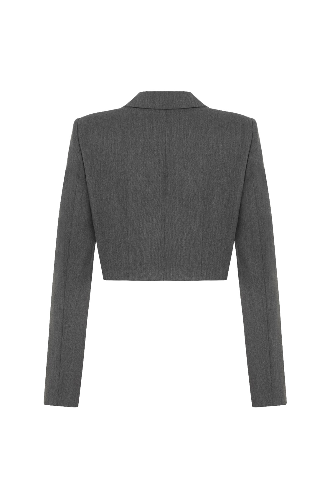 Daniela Crop Gri Blazer Ceket 